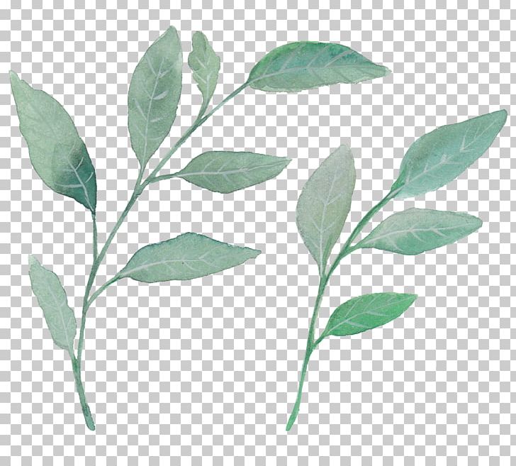 Leaf Watercolor Painting Plant PNG, Clipart, Branch, Buckle, Card, Fall Leaves, Free Free PNG Download
