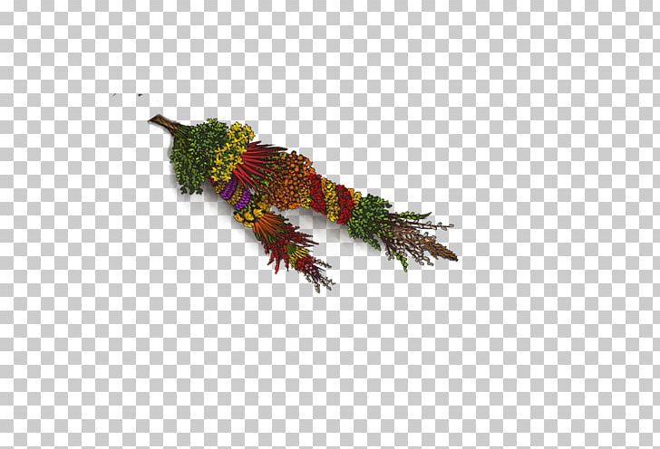 Lizard Fauna Beak Feather PNG, Clipart, Beak, Easter Palms, Fauna, Feather, Lizard Free PNG Download