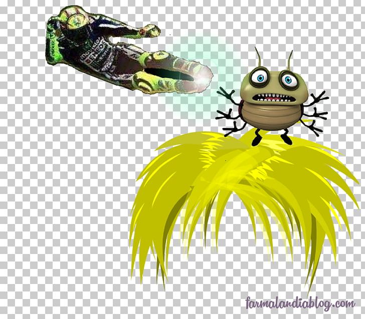 Louse Lendrera Insect Liendre Pediculosis PNG, Clipart, Amphibian, Animals, Bee, Cartoon, Computer Wallpaper Free PNG Download