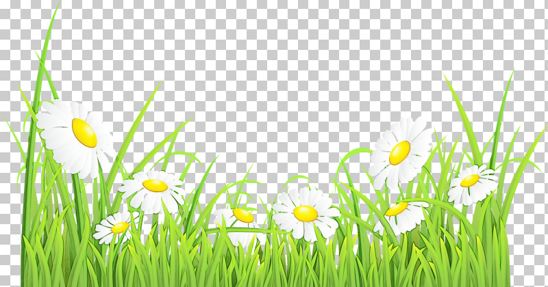 Nature Grass Meadow Natural Environment Plant PNG, Clipart, Easter, Flower, Grass, Grass Family, Grassland Free PNG Download