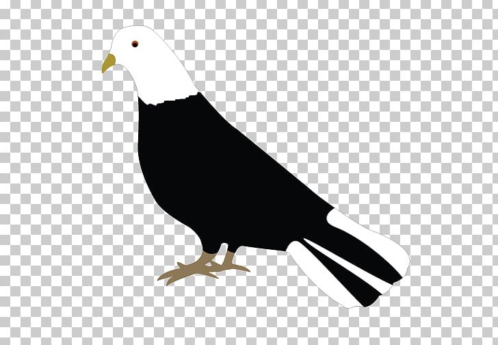 Art PNG, Clipart, Art, Beak, Bird, Bird Of Prey, Black And White Free PNG Download