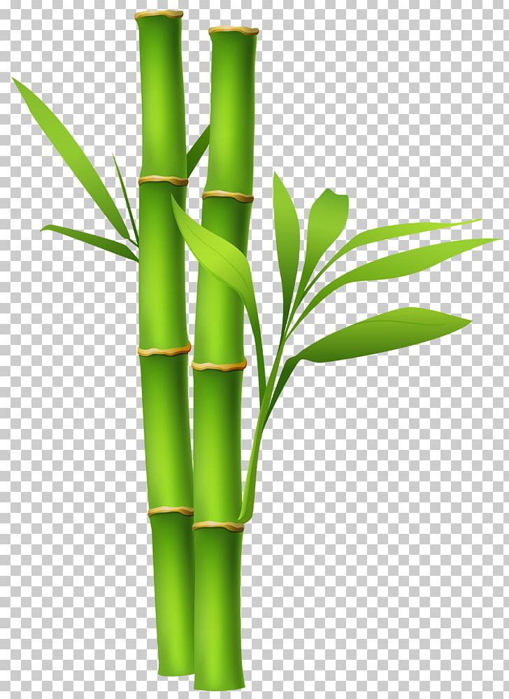 Bamboo PNG, Clipart, Bamboo, Clip Art, Desktop Wallpaper, Document, Download Free PNG Download