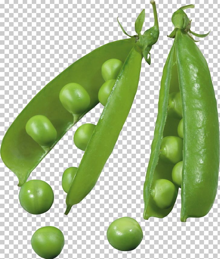 Pea Icon PNG, Clipart, Bean, Broad Bean, Commodity, Common Bean, Download Free PNG Download
