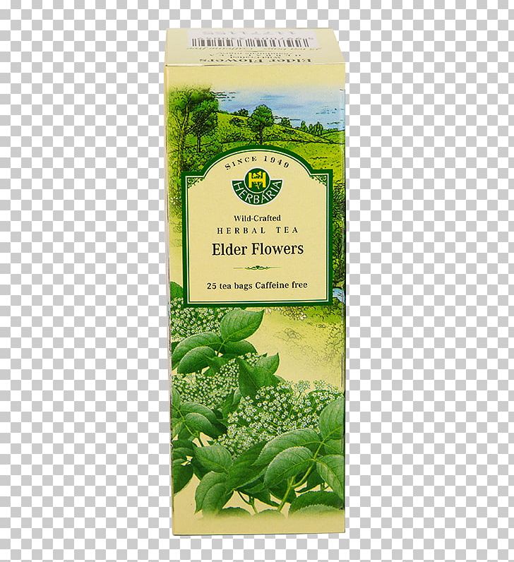 Flowering Tea Herbal Tea Tea Bag PNG, Clipart, Agrimonia Eupatoria, Bag, Common Nettle, Elderberry, Flowering Tea Free PNG Download