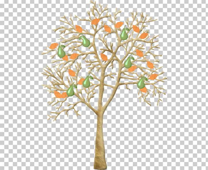 Twig Tree Flower Asian Pear PNG, Clipart, Agac, Agac Resimleri, Asian Pear, Blog, Branch Free PNG Download