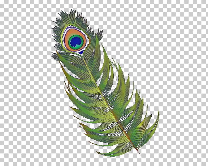 Feather Asiatic Peafowl Hair PNG, Clipart, Abstract, Abstract Background, Abstraction, Abstract Lines, Abstract Pattern Free PNG Download