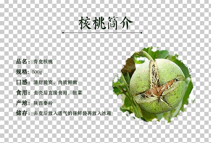 Walnut Juglans PNG, Clipart, Art, Brand, Company Introduction, Download, Food Free PNG Download