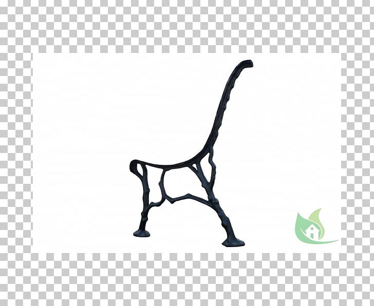 Giraffe Neck White Font PNG, Clipart, Black, Black And White, Black M, Giraffe, Giraffidae Free PNG Download