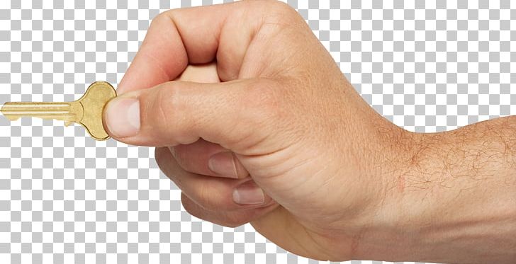 Hands PNG, Clipart, Hands Free PNG Download
