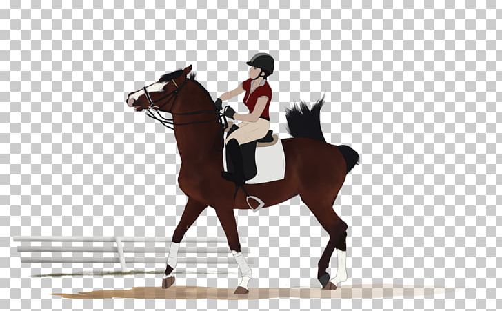 Stallion Hunt Seat Mustang Rein Mare PNG, Clipart, Bit, Bridle, English Riding, Equestrian, Equestrianism Free PNG Download