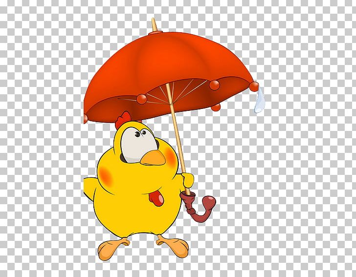 Chicken Cartoon Stock Photography PNG, Clipart, Beach Umbrella, Bird,  Cartoon, Cartoon Network, Chicken Free PNG Download