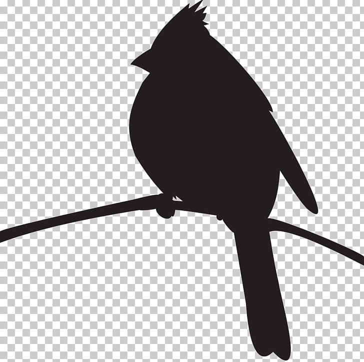 Cornell Lab Of Ornithology Bird Northern Cardinal Pyrrhuloxia Silhouette PNG, Clipart, All About Birds, Animals, Beak, Bird, Black And White Free PNG Download