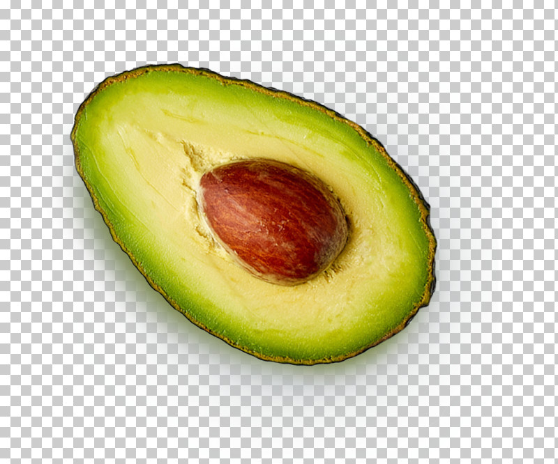 Avocado PNG, Clipart, Avocado, Fruit, Google Assistant, Google Home, Superfood Free PNG Download