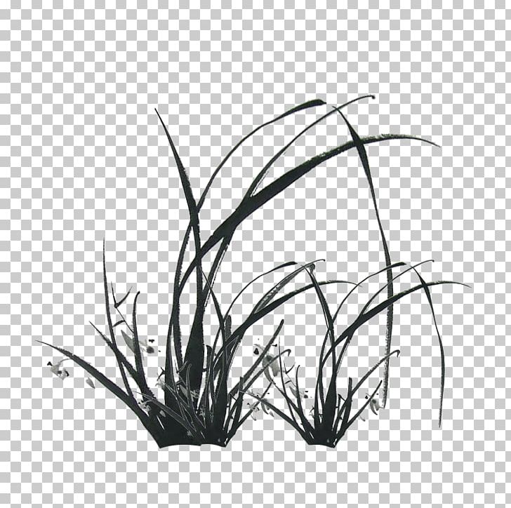 Ink Computer File PNG, Clipart, Aquatic, Aquatic Plants, Artificial Grass, Black, Branch Free PNG Download