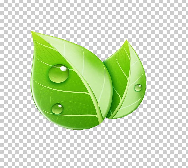 Leaf Ecology Illustration PNG, Clipart, Autumn Leaf, Computer Wallpaper, Drops, Environmentally Friendly, Grass Free PNG Download