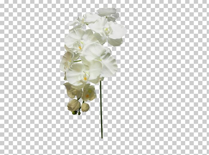 Moth Orchids Cut Flowers Floral Design PNG, Clipart, Artificial Flower, Body Jewelry, Cut Flowers, Floral Design, Flower Free PNG Download