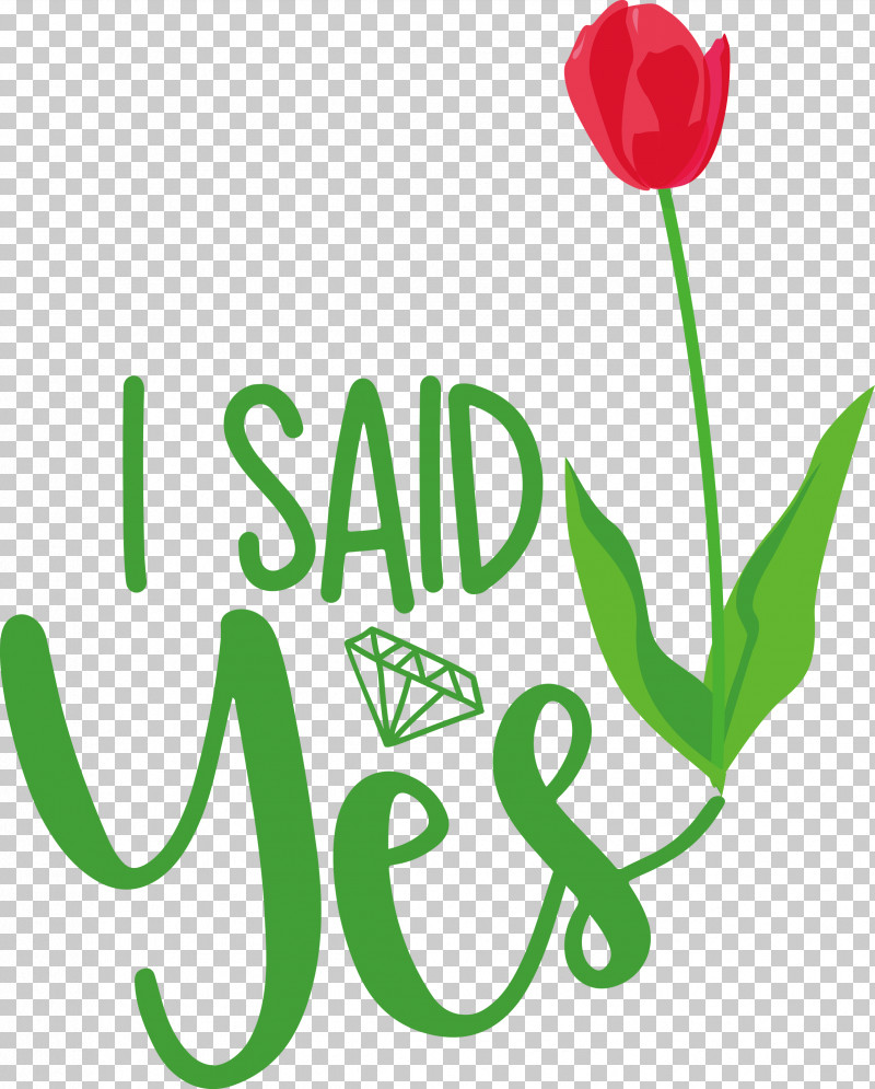 I Said Yes She Said Yes Wedding PNG, Clipart, Bride, Floral Design, Flower, Garden Roses, I Said Yes Free PNG Download