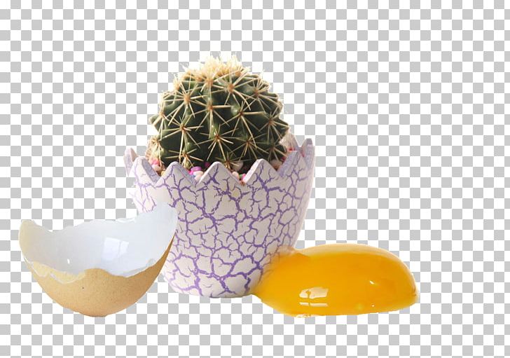 Cactaceae Bonsai Succulent Plant Prickly Pear Euclidean PNG, Clipart, Apple Pears, Cactaceae, Cactus, Egg Shell, Egg Yolk Free PNG Download