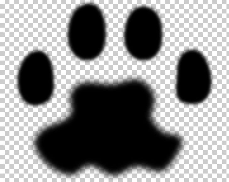 Dog Cat Paw Animal Track Tiger PNG, Clipart, Animal, Animals, Animal Track, Black, Black And White Free PNG Download