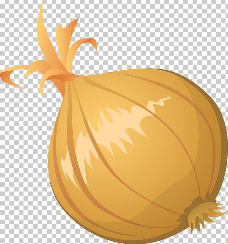 Hamburger Onion Free Content PNG, Clipart, Commodity, Cucurbita, Flowering Plant, Food, Free Content Free PNG Download