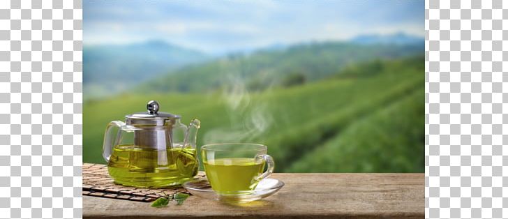 Green Tea Masala Chai Health Breakfast PNG, Clipart, Antioxidant, Black Tea, Breakfast, Cafe, Camellia Sinensis Free PNG Download