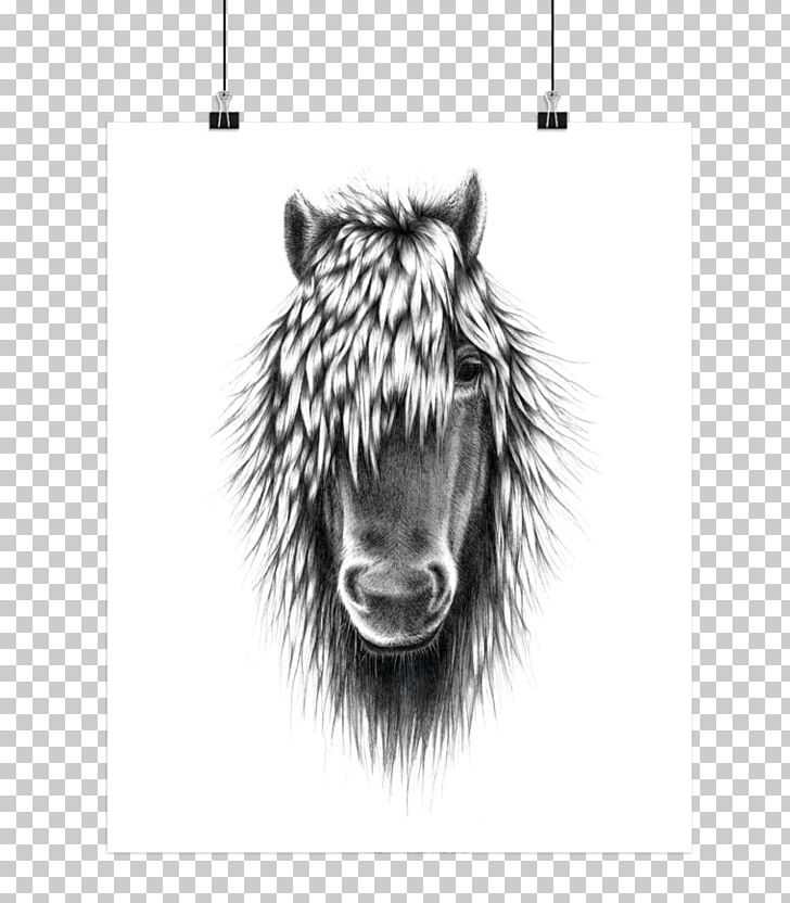 Horse Illustration Drawing Poster PNG, Clipart, Animals, Bahne, Bedroom, Black And White, Drawing Free PNG Download