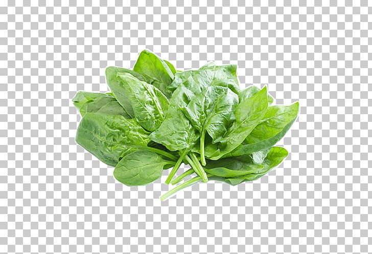 Leaf Vegetable Pickled Cucumber Food Spinach Restaurant PNG, Clipart, Basil, Broth, Choy Sum, Eating, Egg Free PNG Download