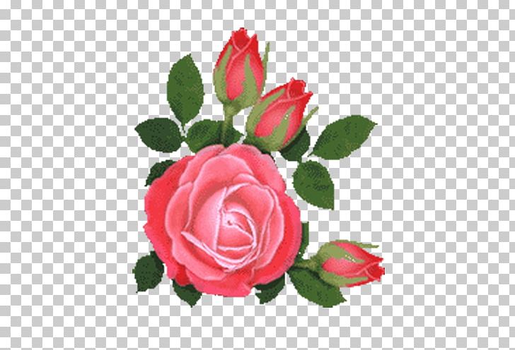 Beach Rose Flower Pink PNG, Clipart, Bouquet, Colorful, Colorful Roses, Cut Flowers, Floral Design Free PNG Download