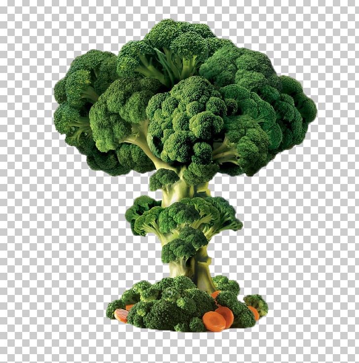 Broccoli Vegetable PNG, Clipart, Autumn Tree, Carrot, Christmas Tree, Designer, Download Free PNG Download