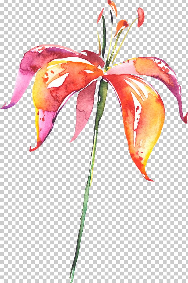 Lilium Flower Drawing Watercolor Painting PNG, Clipart, Computer Icons, Cut Flowers, Download, Encapsulated Postscript, Flora Free PNG Download