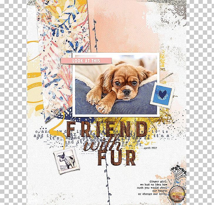 Puppy Love Dog Breed Dog Clothes PNG, Clipart,  Free PNG Download