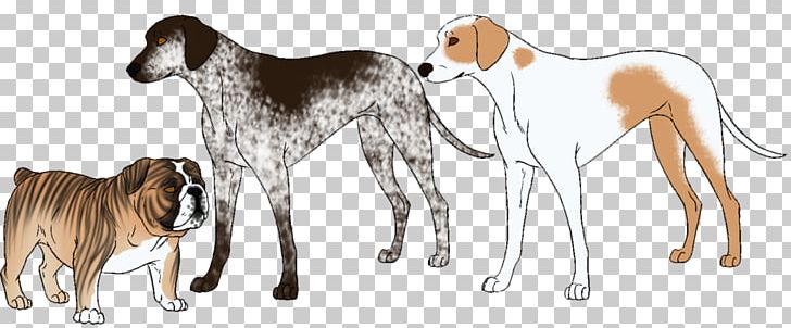 Saluki Spanish Greyhound Sloughi Azawakh PNG, Clipart, Angry Dog, Animal, Animal Figure, Azawakh, Big Cat Free PNG Download