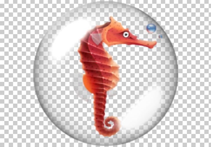 Seahorse Computer Icons PNG, Clipart, Animal, Animals, Computer Icons, Desktop Wallpaper, Drawing Free PNG Download