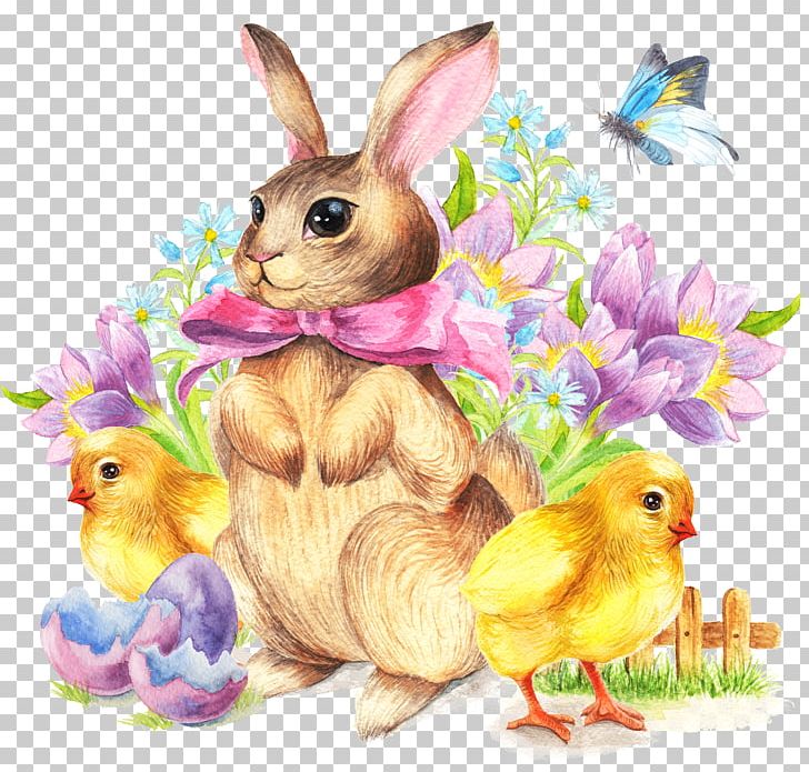 Stock Illustration Graphics PNG, Clipart, Beak, Cartoon, Chicken, Drawing, Easter Free PNG Download