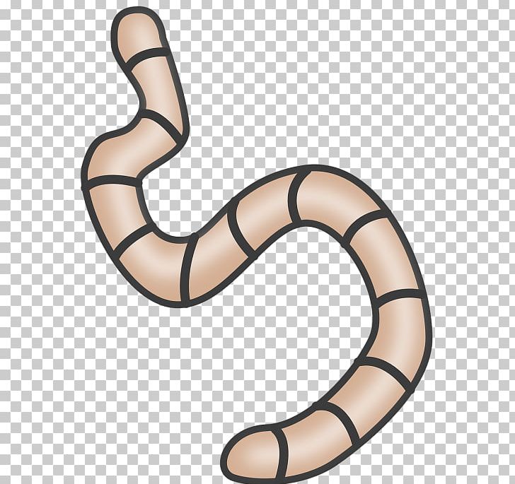 Worm Portable Network Graphics Free Content PNG, Clipart, Clip, Computer Icons, Decomposer, Download, Earthworm Free PNG Download