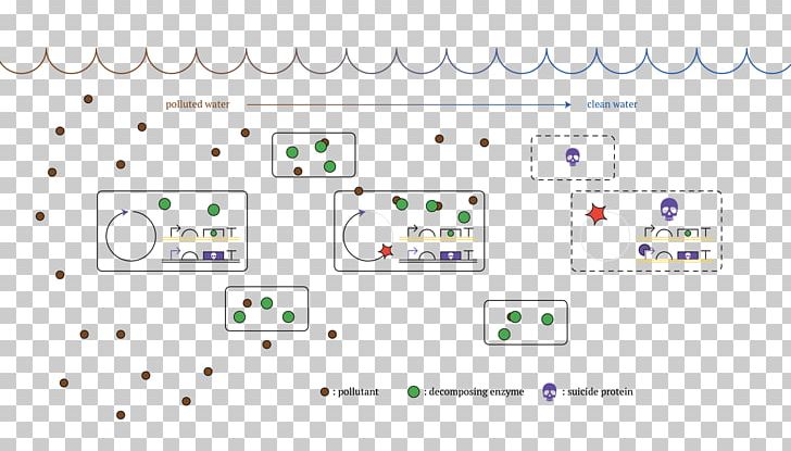 Brand Line PNG, Clipart, Area, Art, Brand, Cell Division, Diagram Free PNG Download