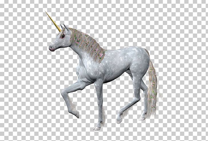 Unicorn Horse Horn Portable Network Graphics PNG, Clipart, Cartoon, Colt, Download, Fantasy, Fictional Character Free PNG Download