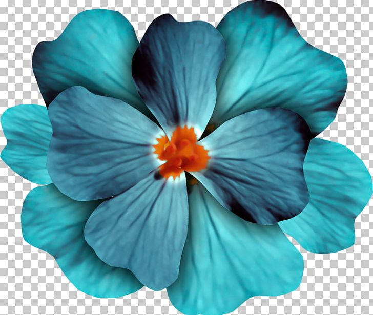 Blue Flower Purple PNG, Clipart, Annual Plant, Blue, Blue Flower