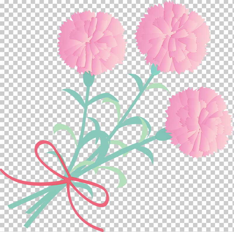Mothers Day Carnation Mothers Day Flower PNG, Clipart, Artificial Flower, Carnation, Cut Flowers, Dianthus, Flower Free PNG Download