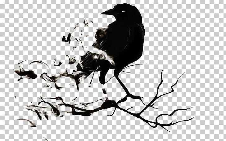 Common Raven The Raven Illustration PNG, Clipart, Beak, Bird, Black, Computer Wallpaper, Crows Free PNG Download