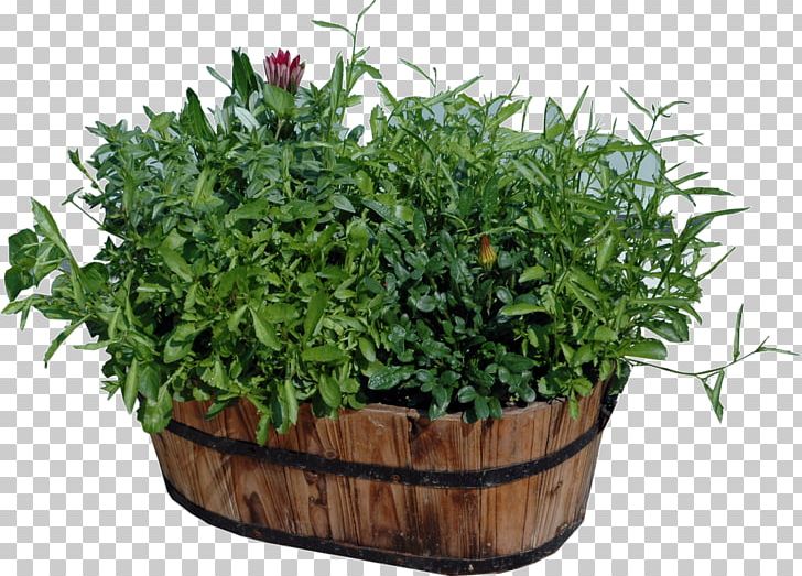 Flowerpot Houseplant Wood PNG, Clipart, Bmp File Format, Chair, Dwg, Fines Herbes, Flower Free PNG Download