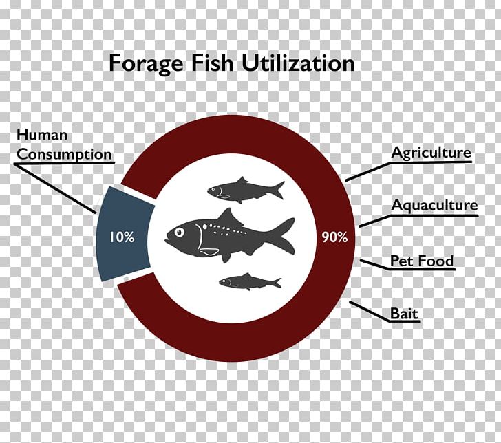 Forage Fish Aquaculture Food PNG, Clipart, Algae, Angle, Animal, Aquaculture, Area Free PNG Download