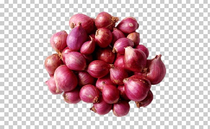 Sambar Shallot Potato Onion Indian Cuisine Vegetable PNG, Clipart, Beet, Beetroot, Berry, Cranberry, Eggplant Free PNG Download