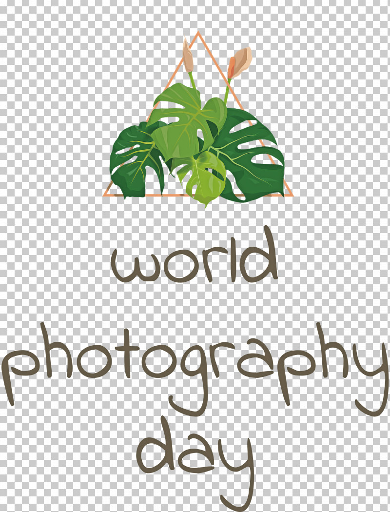 World Photography Day Photography Day PNG, Clipart, Biology, Branching, Leaf, Logo, Meter Free PNG Download