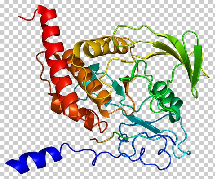 PTPN6 Protein Tyrosine Phosphatase SH2 Domain PTPN11 Tyrosine Kinase PNG, Clipart, Animal Figure, Area, Artwork, Enzyme, Epidermal Growth Factor Receptor Free PNG Download