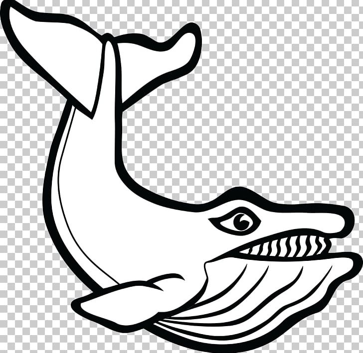 Cetacea Mammal Beluga Whale Porpoise PNG, Clipart, Animal, Art, Artwork, Beak, Beluga Free PNG Download