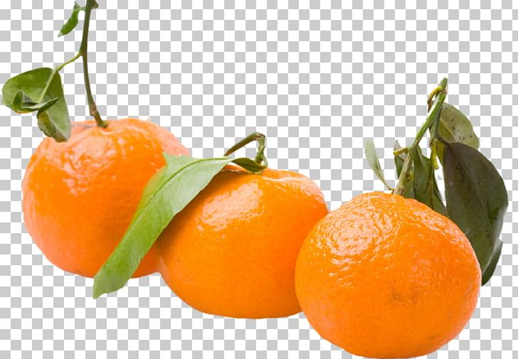 Clementine Mandarin Orange Tangerine Tangelo Rangpur PNG, Clipart, Calamondin, Carbohydrate, Citric Acid, Citrus, Clementine Free PNG Download