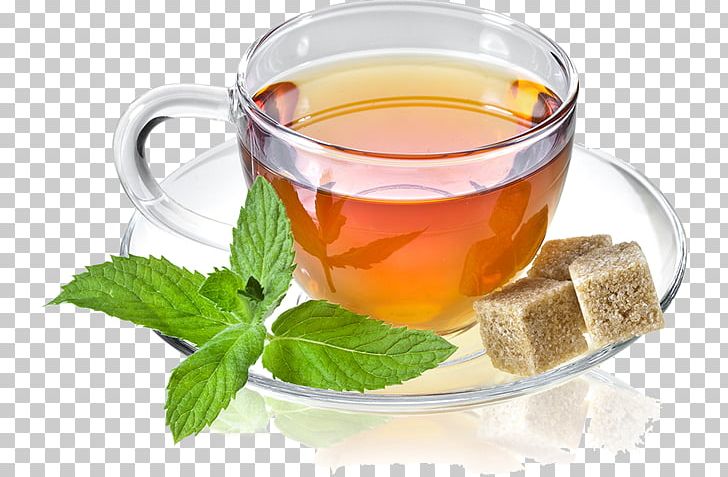 Earl Grey Tea Mate Cocido Green Tea Oolong PNG, Clipart, Assam Tea, Barley Tea, Chinese Herb Tea, Cup, Da Hong Pao Free PNG Download