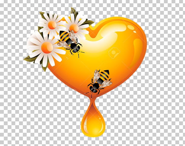 Honey Bee Honey Bee PNG, Clipart, Bee, Bee Clipart, Computer Wallpaper, Heart, Honey Free PNG Download