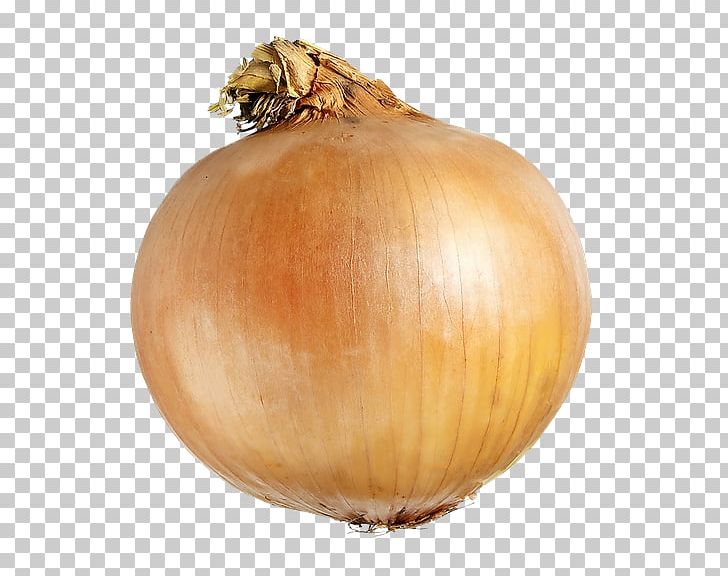 Yellow Onion Shallot Cooking White Onion Red Onion PNG, Clipart, Bag, Cart, Cooking, Cucurbita, Food Free PNG Download